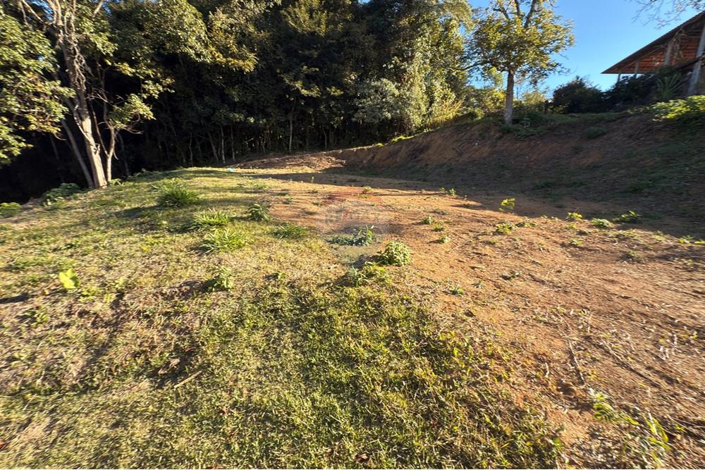 Terreno - Venda - Nova Friburgo , Rio de Janeiro - IMG_4232.JPG - 630551081-26