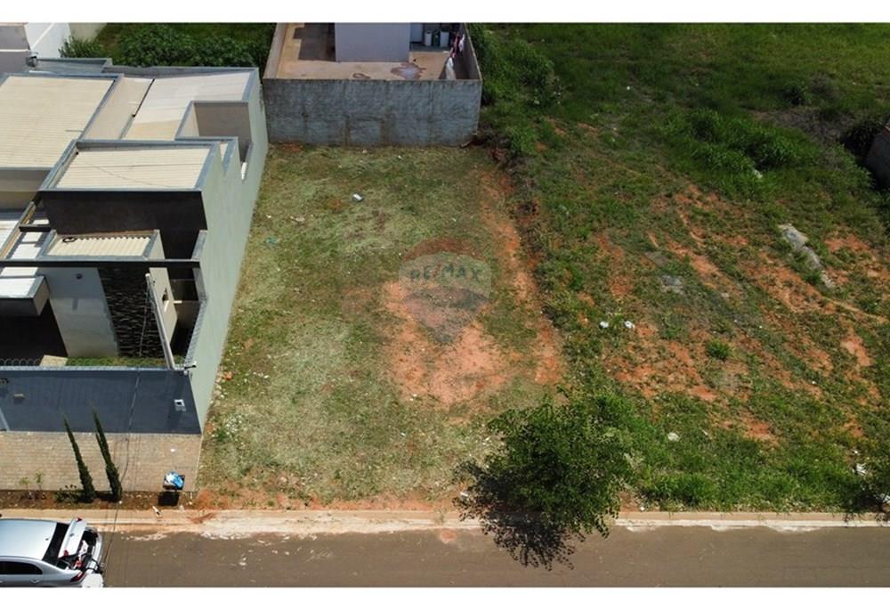 Terreno - Venda - Cedral , São Paulo - dji_fly_20241111_132358_34_1731342247755_photo_optimized - Copia.jpg - 631481001-5