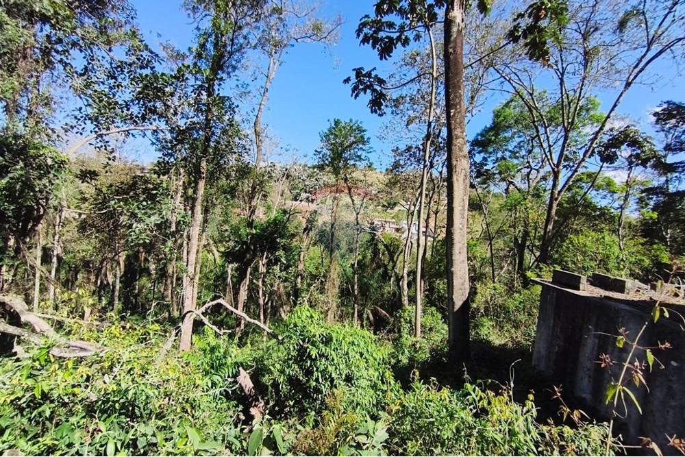 Terreno - Venda - Mairiporã , São Paulo - Terreno rafael 16.jpg - 631361069-8