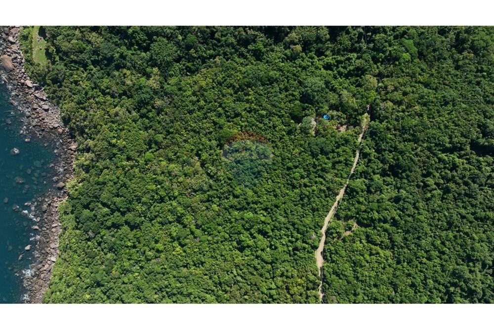 Terreno - Venda - Ilhabela , São Paulo - DJI_0139.00_00_07_12.Quadro002.jpg - 630951011-29