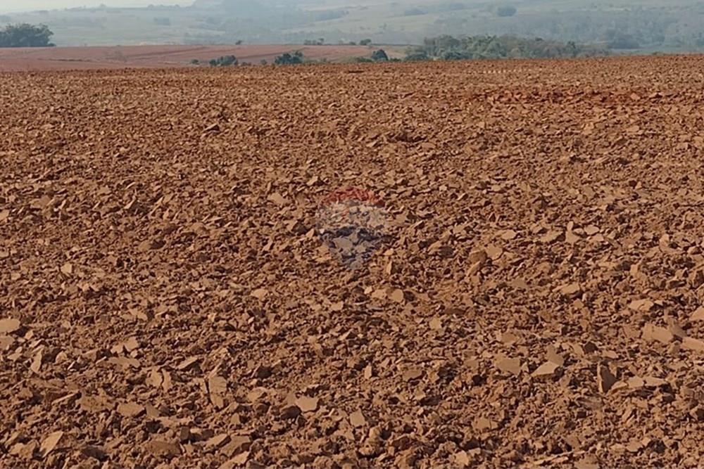 Chácara / Sítio / Fazenda - Venda - Tupã , São Paulo - WhatsApp Image 2024-10-18 at 20.43.08 (3).jpeg - 630541038-17