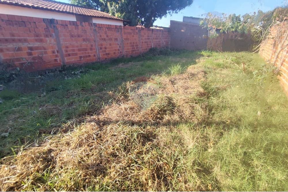 Terreno - Venda - Penápolis , São Paulo - WhatsApp Image 2025-09-17 at 17.59.20.jpeg - 631191036-1