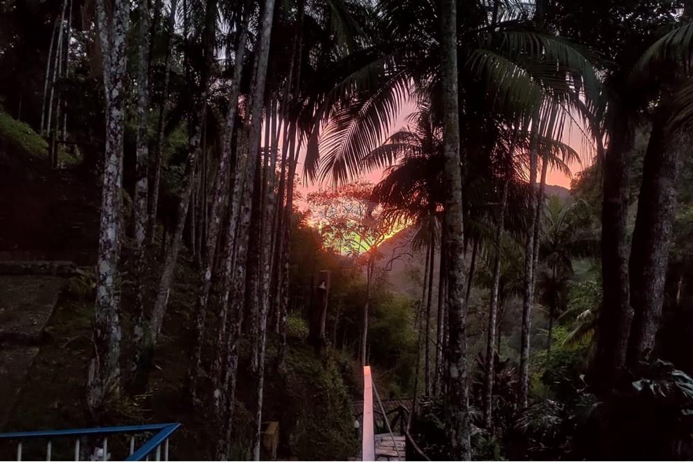 Casa - Venda - Petrópolis , Rio de Janeiro - WhatsApp Image 2025-01-29 at 07.28.12.jpeg - 630131067-214