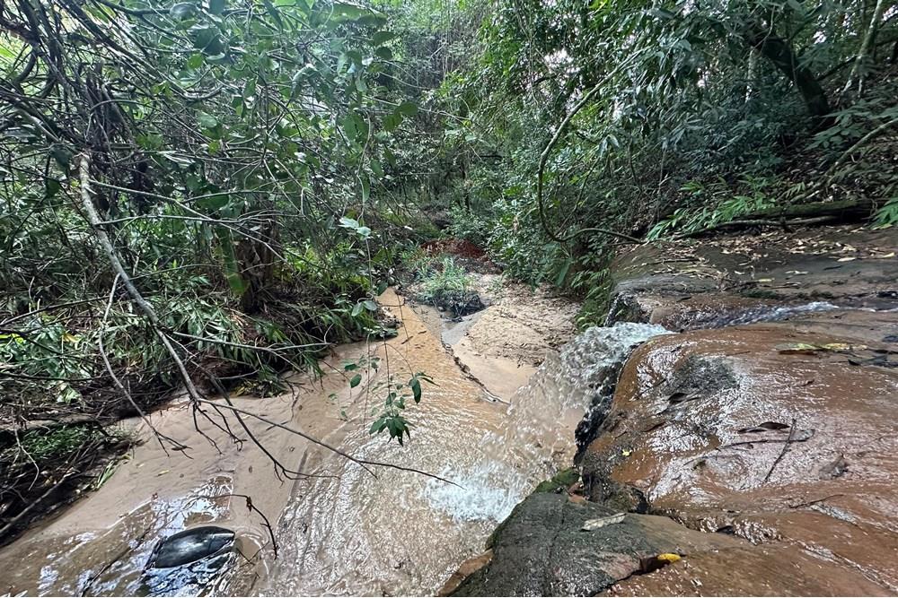 Chácara / Sítio / Fazenda - Venda - Bauru , São Paulo - 30.jpg - 631401012-35