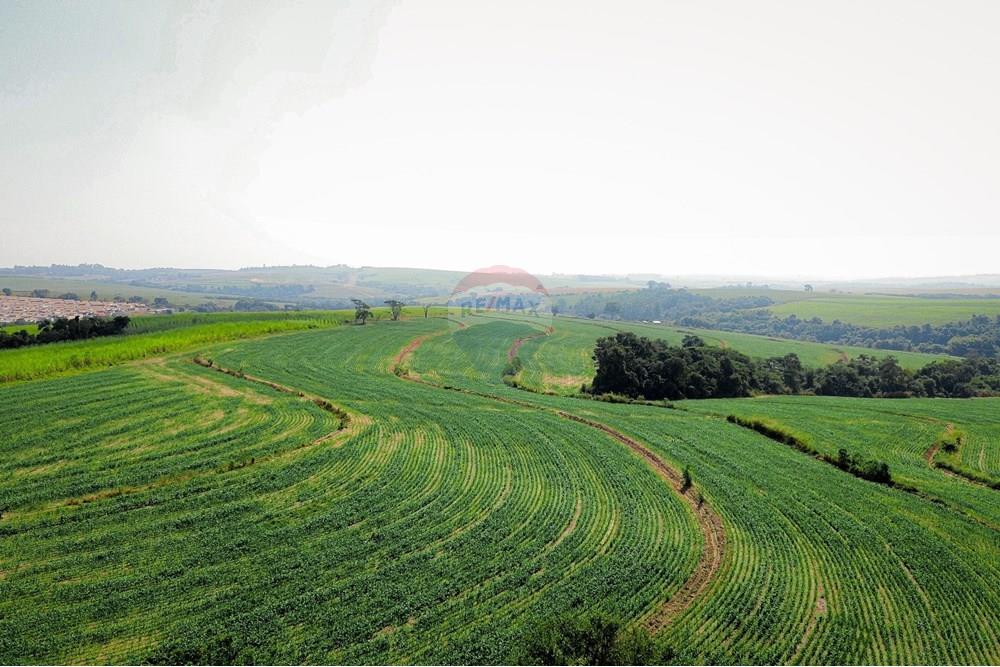 Terreno - Venda - Boituva , São Paulo - Loteamento - Boituva - 7.jpg - 630601137-102
