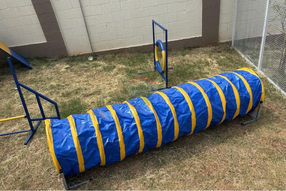 Apartamento - Alugar - Botucatu , São Paulo - WhatsApp Image 2025-03-21 at 08.17.28.jpeg - 630481079-85