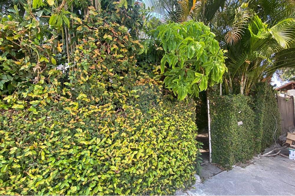 Casa - Venda - Cabo Frio , Rio de Janeiro - 37.jpg - Quintal - 630361024-35