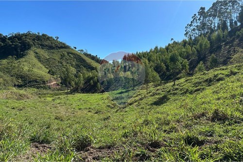 Venda-Chácara / Sítio / Fazenda-braçana , 500  - 12 km pista  - Basílio , Rio Bonito , Rio de Janeiro , 28800000-680311080-2