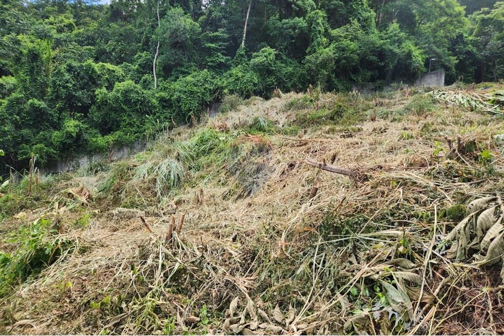 Terreno - Venda - Rio de Janeiro , Rio de Janeiro - 12.jpg - 680321010-129