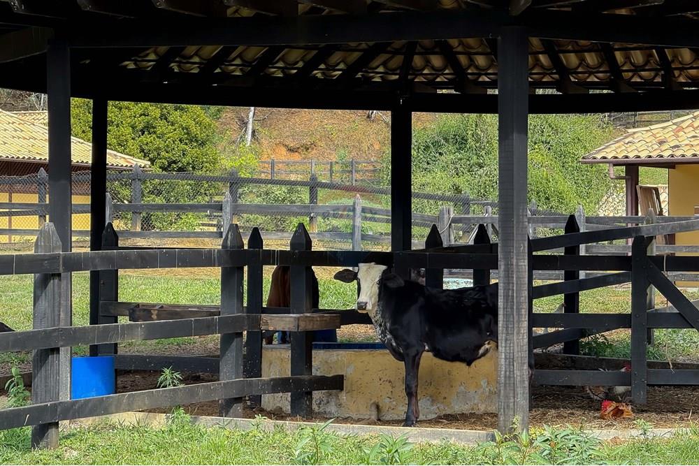 Chácara / Sítio / Fazenda - Venda - Bananal , São Paulo - Foto (139).jpg - 680291006-268