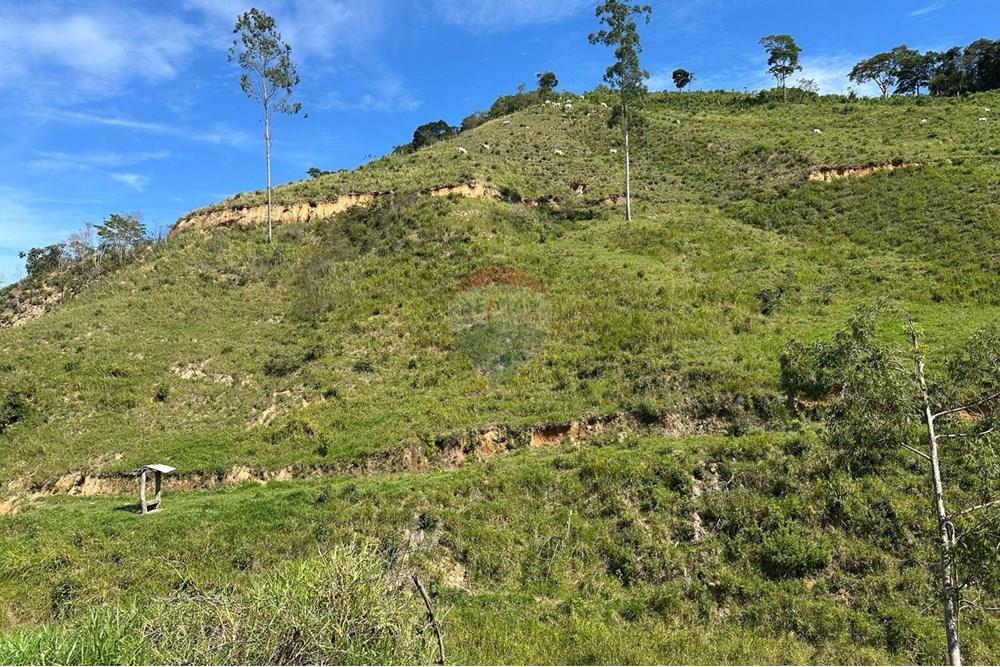 Chácara / Sítio / Fazenda - Venda - Rio Bonito , Rio de Janeiro - ab92d4fb-80d9-4b69-bafd-9217fcbf84d2.jpg - 680311080-2