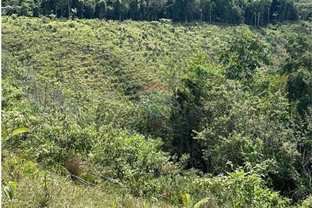 Chácara / Sítio / Fazenda - Venda - Rio Bonito , Rio de Janeiro - ddd71ee5-7289-4be4-80f2-2b53e1e1594a.jpg - 680311080-2