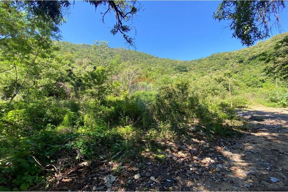 Terreno - Venda - Rio de Janeiro , Rio de Janeiro - WhatsApp Image 2025-05-31 at 09.11.47.jpeg - 680331009-385