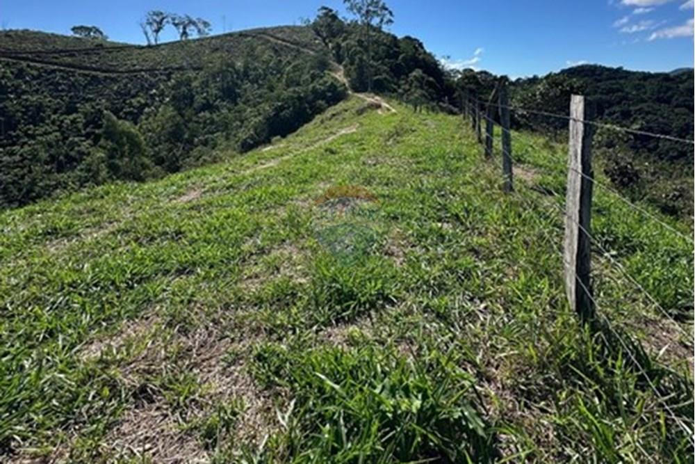 Chácara / Sítio / Fazenda - Venda - Rio Bonito , Rio de Janeiro - f82f6f88-5177-4481-98a7-08da5b165474.jpg - 680311080-2