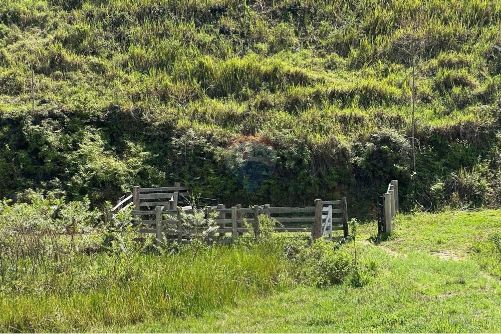 Chácara / Sítio / Fazenda - Venda - Rio Bonito , Rio de Janeiro - fe6ece75-f1e3-424e-bda5-cf9eb4e2e0e5.jpg - 680311080-2