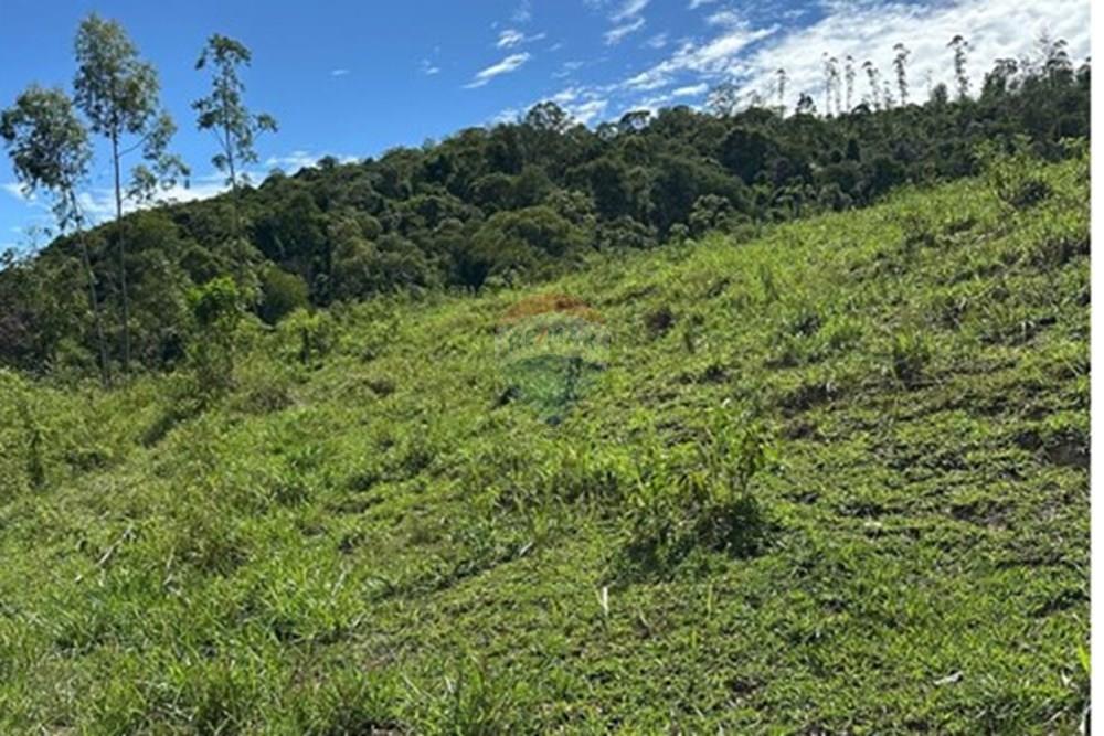 Chácara / Sítio / Fazenda - Venda - Rio Bonito , Rio de Janeiro - a0170389-55c1-46c8-84c4-6f68f982cb5d.jpg - 680311080-2