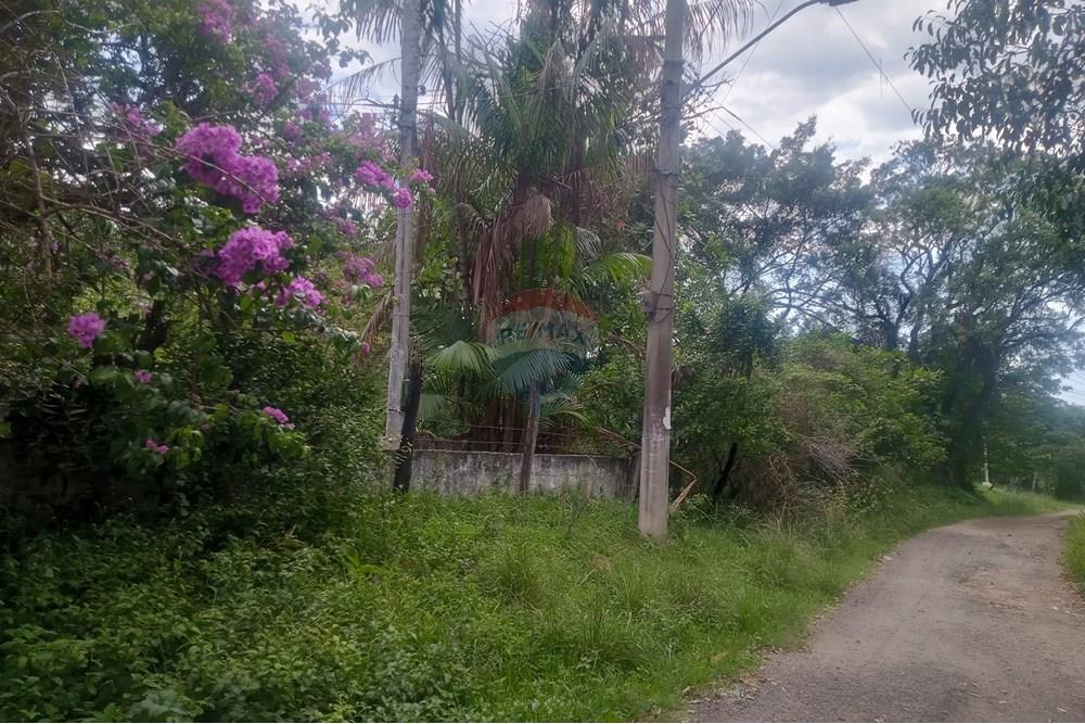 Terreno - Venda - Rio de Janeiro , Rio de Janeiro - IMG_20241112_140253_629_HDR.jpg - 680331008-151