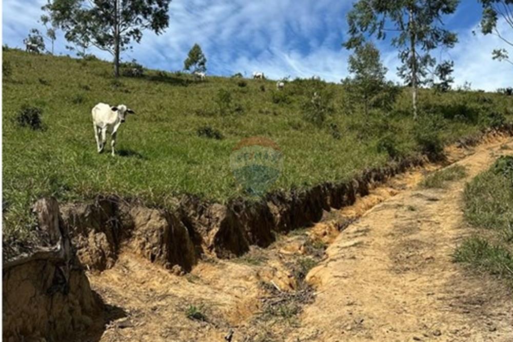 Chácara / Sítio / Fazenda - Venda - Rio Bonito , Rio de Janeiro - 7e3f7ed0-2fca-467e-b836-4e0ff2a63452.jpg - 680311080-2
