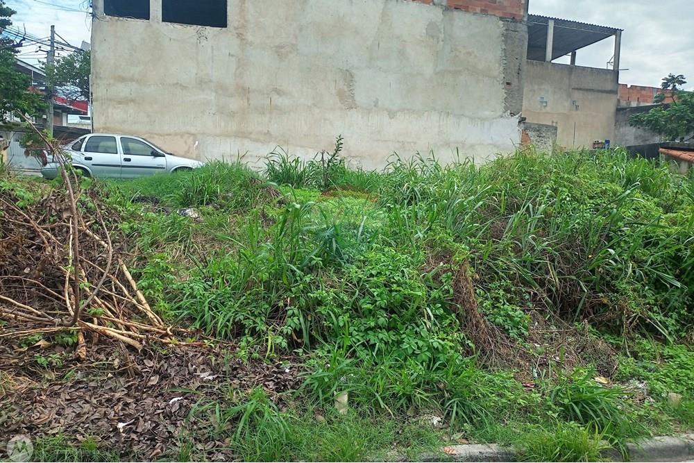 Terreno - Venda - Rio de Janeiro , Rio de Janeiro - IMG_20250403_120240_052.jpg - 680331056-11