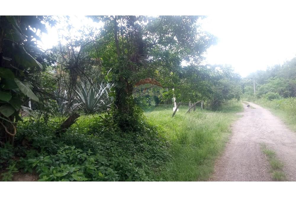 Terreno - Venda - Rio de Janeiro , Rio de Janeiro - IMG_20241112_140659_8.jpg - 680331008-151