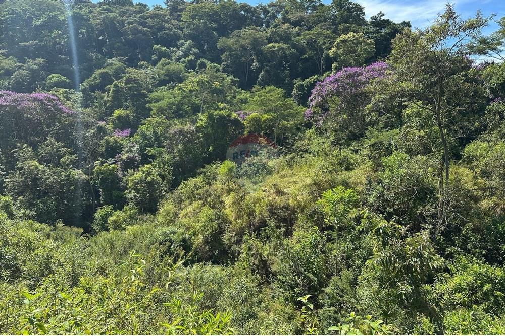 Chácara / Sítio / Fazenda - Venda - Rio Bonito , Rio de Janeiro - ba21debd-7eb8-4afa-ad58-43a46491b193.jpg - 680311080-2