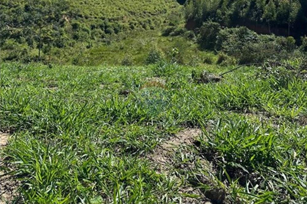 Chácara / Sítio / Fazenda - Venda - Rio Bonito , Rio de Janeiro - fa981315-7356-4853-8e55-075b800df8f4.jpg - 680311080-2