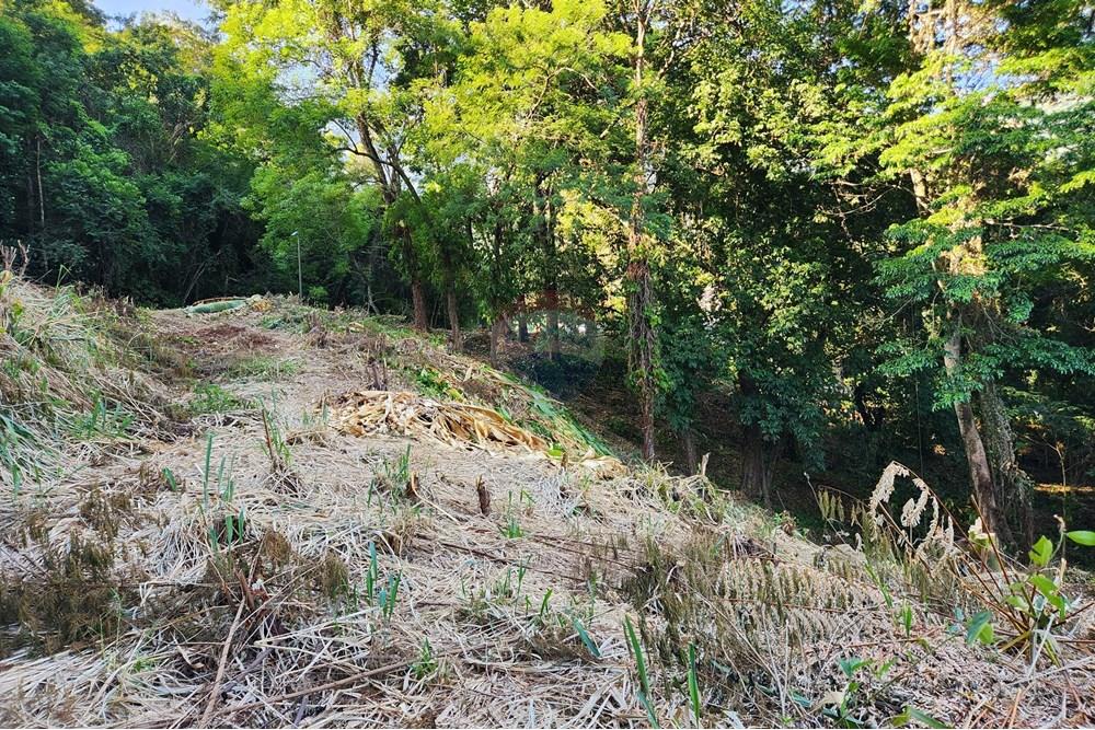 Terreno - Venda - Rio de Janeiro , Rio de Janeiro - 6.jpg - 680321010-130