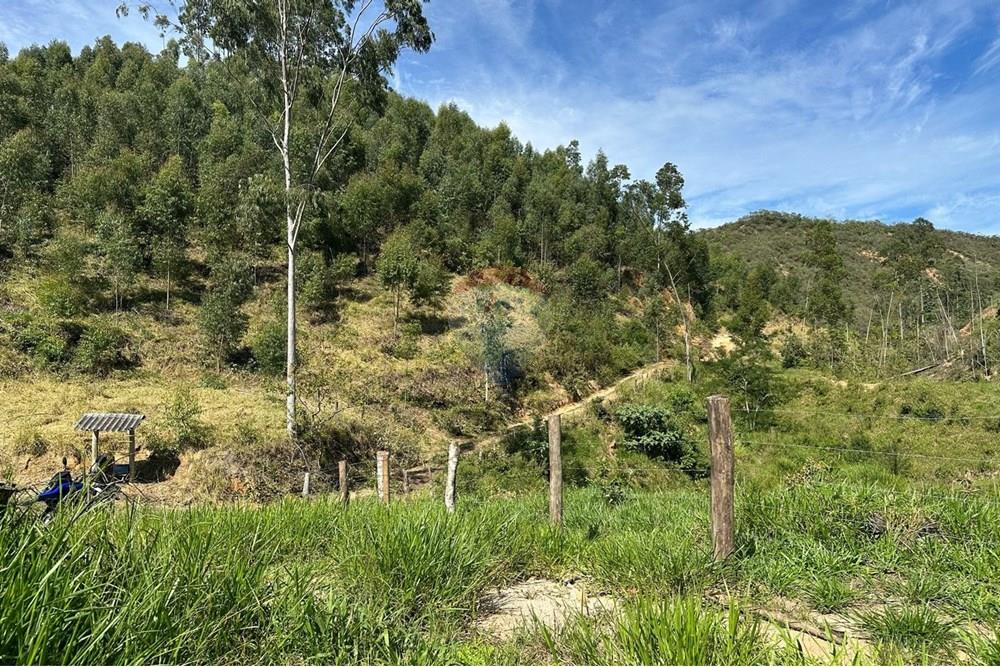 Chácara / Sítio / Fazenda - Venda - Rio Bonito , Rio de Janeiro - e8b2f92f-1289-46ef-9ada-7c31d19040e1.jpg - 680311080-2