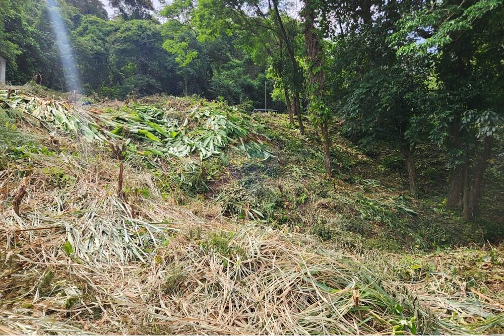 Terreno - Venda - Rio de Janeiro , Rio de Janeiro - 19.jpg - 680321010-129