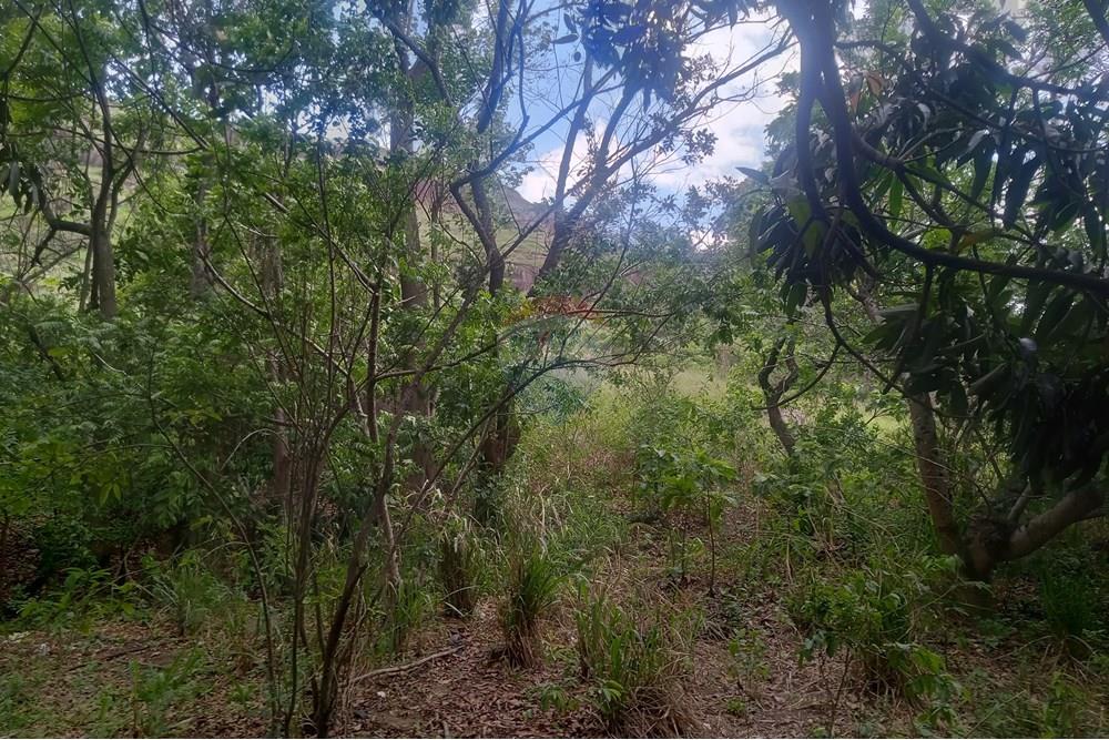 Terreno - Venda - Rio de Janeiro , Rio de Janeiro - IMG_20241112_140436_171_HDR.jpg - 680331008-151