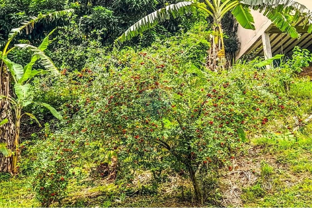 Chácara / Sítio / Fazenda - Venda - Rio de Janeiro , Rio de Janeiro - 2.jpg - 680331011-128