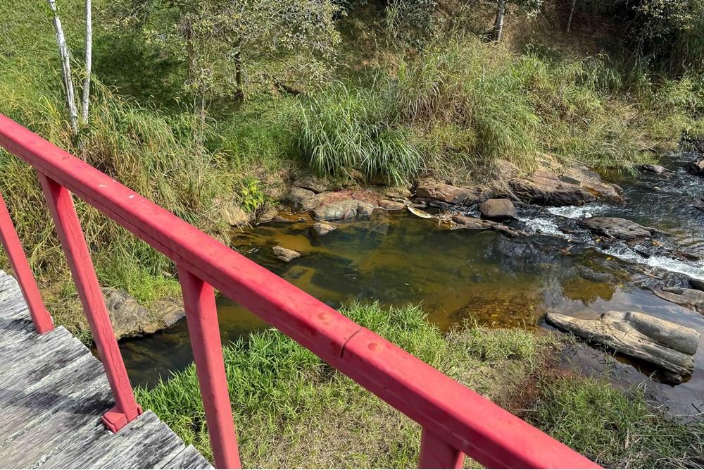 Chácara / Sítio / Fazenda - Venda - Bananal , São Paulo - Foto (133).jpg - 680291006-268