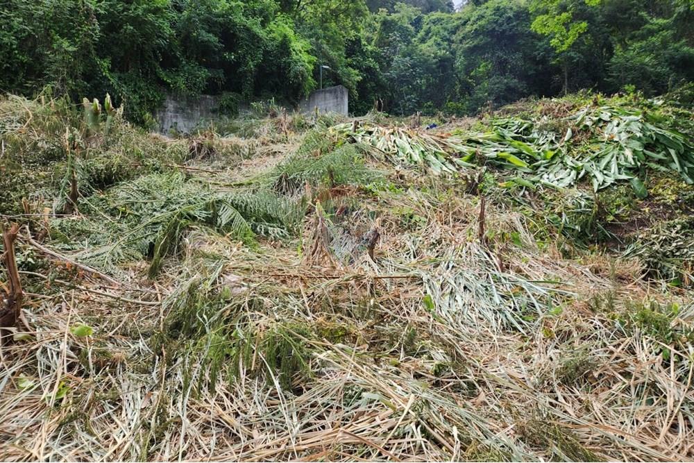 Terreno - Venda - Rio de Janeiro , Rio de Janeiro - 3.jpg - 680321010-130