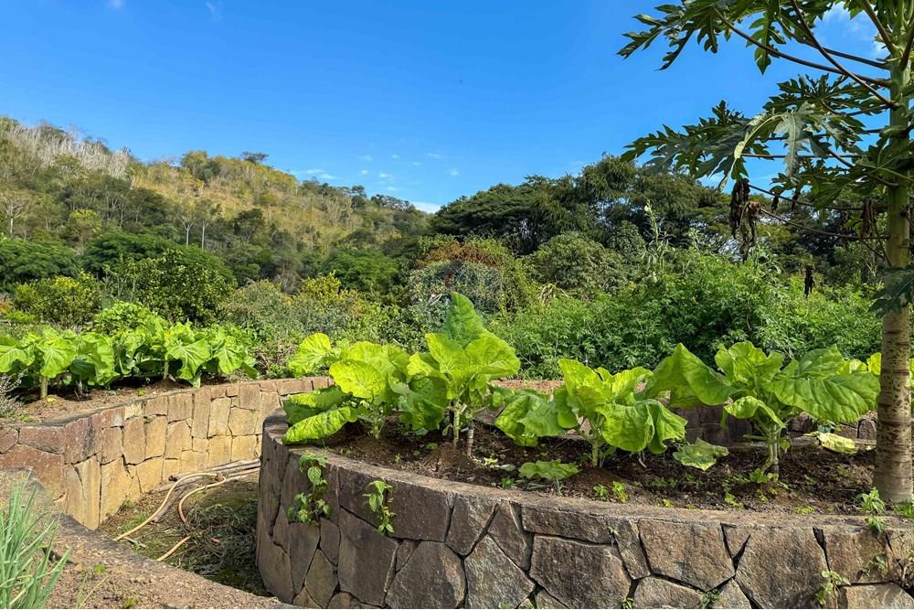 Chácara / Sítio / Fazenda - Venda - Bananal , São Paulo - Foto (135).jpg - 680291006-268