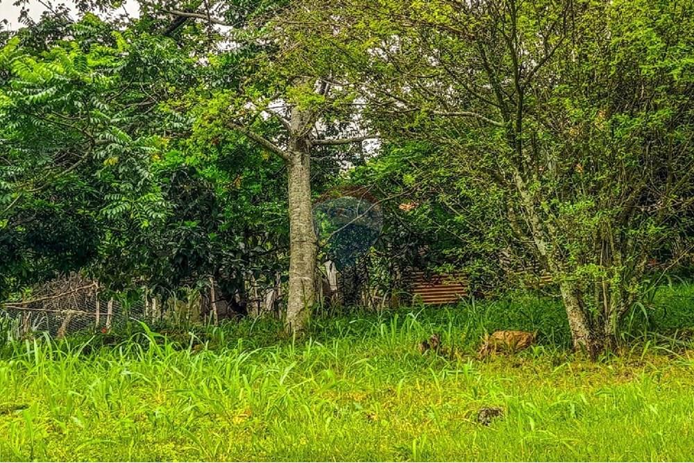 Chácara / Sítio / Fazenda - Venda - Rio de Janeiro , Rio de Janeiro - 3.jpg - 680331011-128