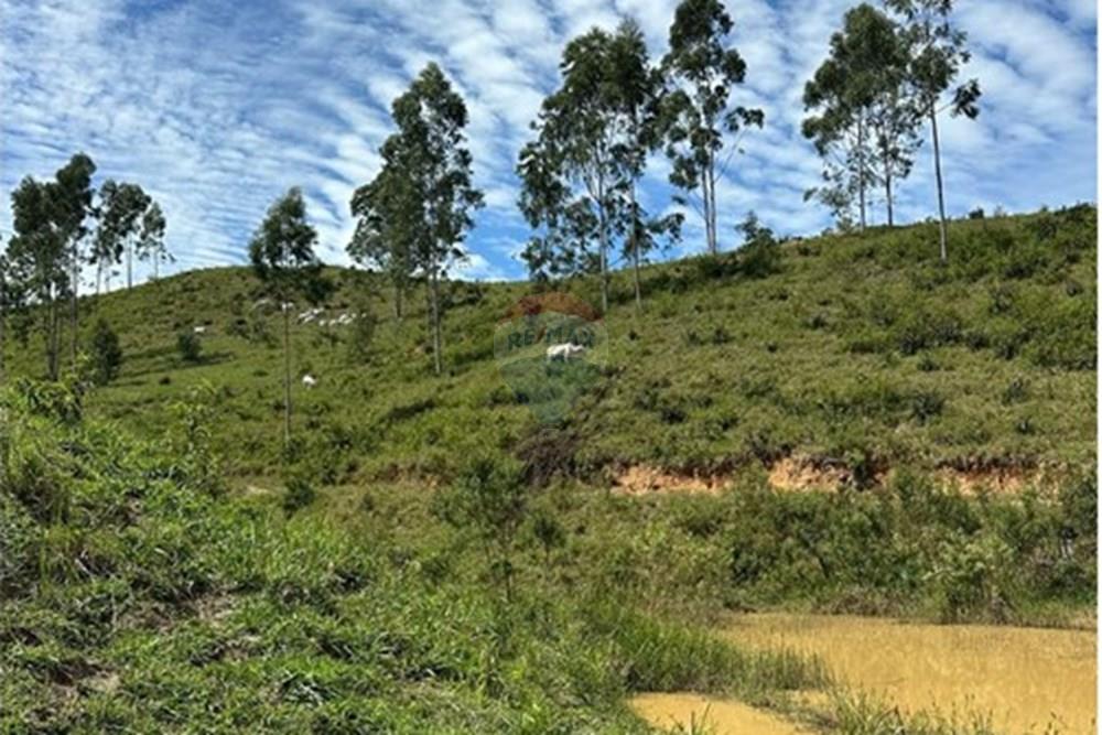 Chácara / Sítio / Fazenda - Venda - Rio Bonito , Rio de Janeiro - 63d2e9f3-dda3-486a-b3f0-bc591bb74578.jpg - 680311080-2