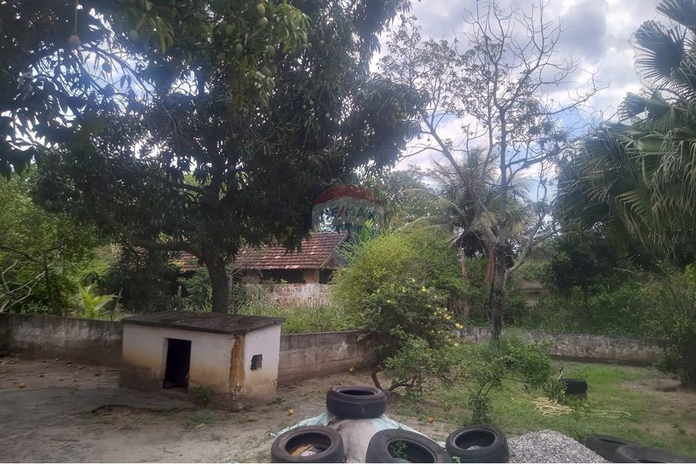 Terreno - Venda - Rio de Janeiro , Rio de Janeiro - IMG_20241112_140329_921_HDR.jpg - 680331008-151