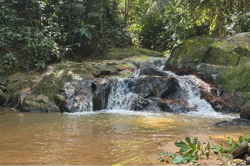 Chácara / Sítio / Fazenda - Venda - Rio Bonito , Rio de Janeiro - 84fbd48c-10b0-4dec-a963-d0060d11c98c.jpg - 680311080-2