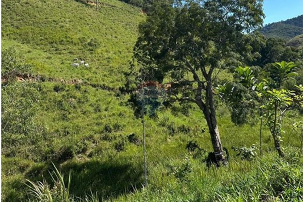 Chácara / Sítio / Fazenda - Venda - Rio Bonito , Rio de Janeiro - b298d1eb-ac4e-4d88-aecc-e6a2b06adf7f.jpg - 680311080-2