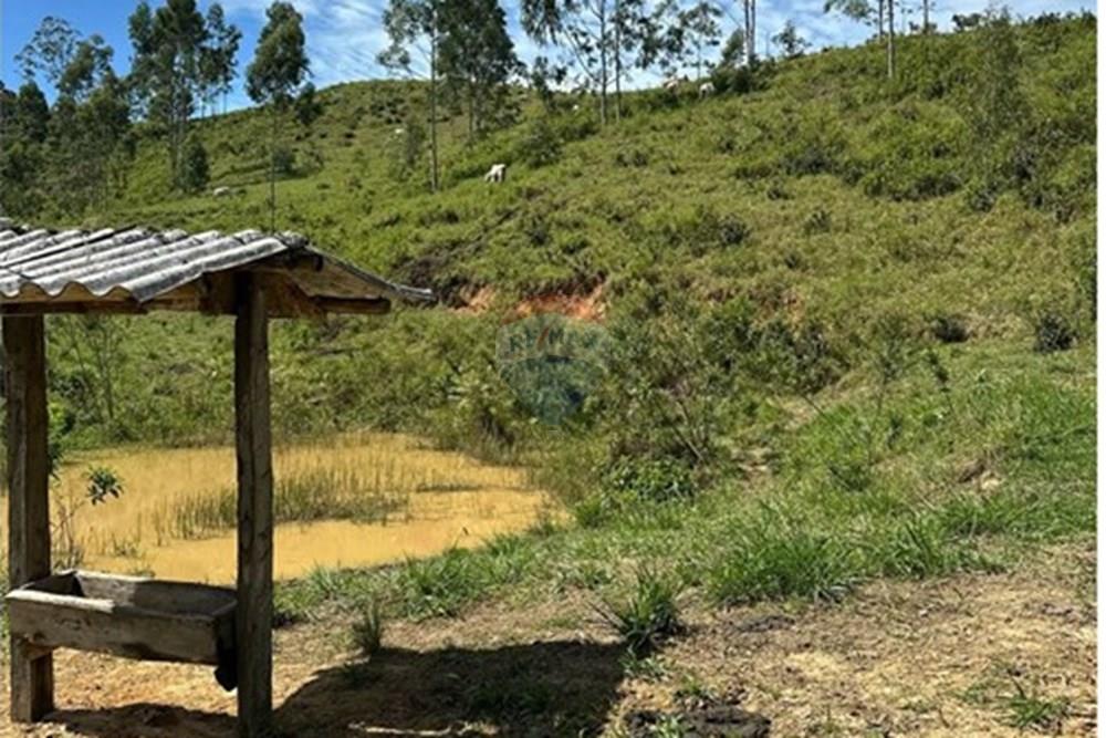 Chácara / Sítio / Fazenda - Venda - Rio Bonito , Rio de Janeiro - 161cf595-74d4-447b-b138-3cf0f358924a.jpg - 680311080-2