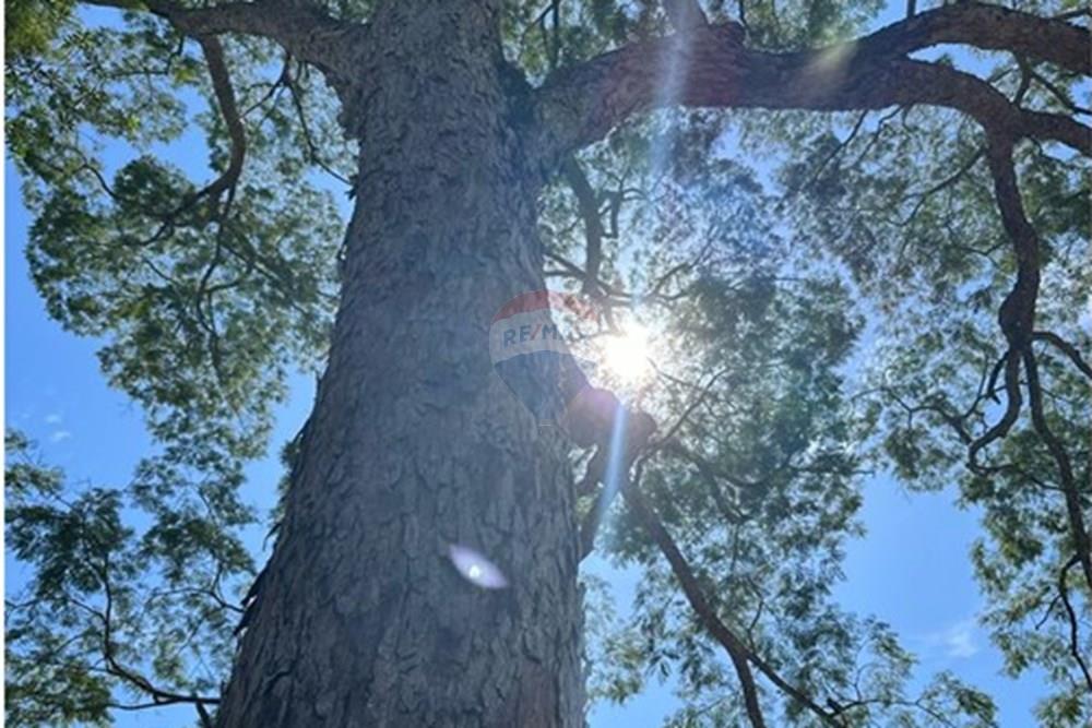 Chácara / Sítio / Fazenda - Venda - Rio Bonito , Rio de Janeiro - 7ed7692d-f8fa-4227-bb35-40e3c6d5ffef.jpg - 680311080-2