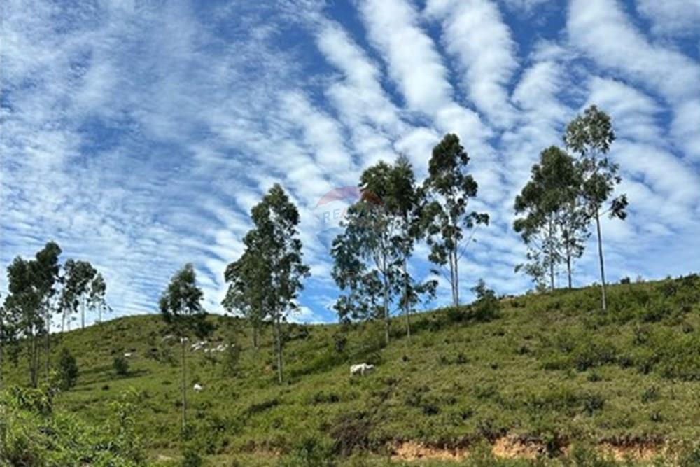 Chácara / Sítio / Fazenda - Venda - Rio Bonito , Rio de Janeiro - 63d2e9f3-dda3-486a-b3f0-bc591bb74578.jpg - 680311080-2