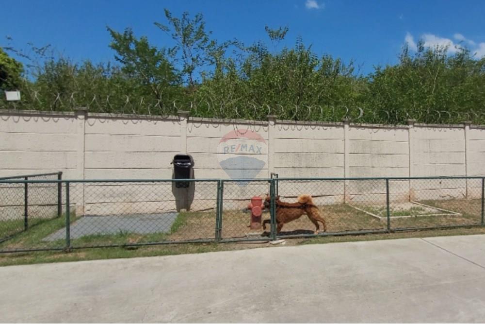 Apartamento - Alugar - Rio de Janeiro , Rio de Janeiro - IMAGE_a7800968-d2a1-4245-a0d8-212e02f5e8a6~2.jpg - 680331014-145