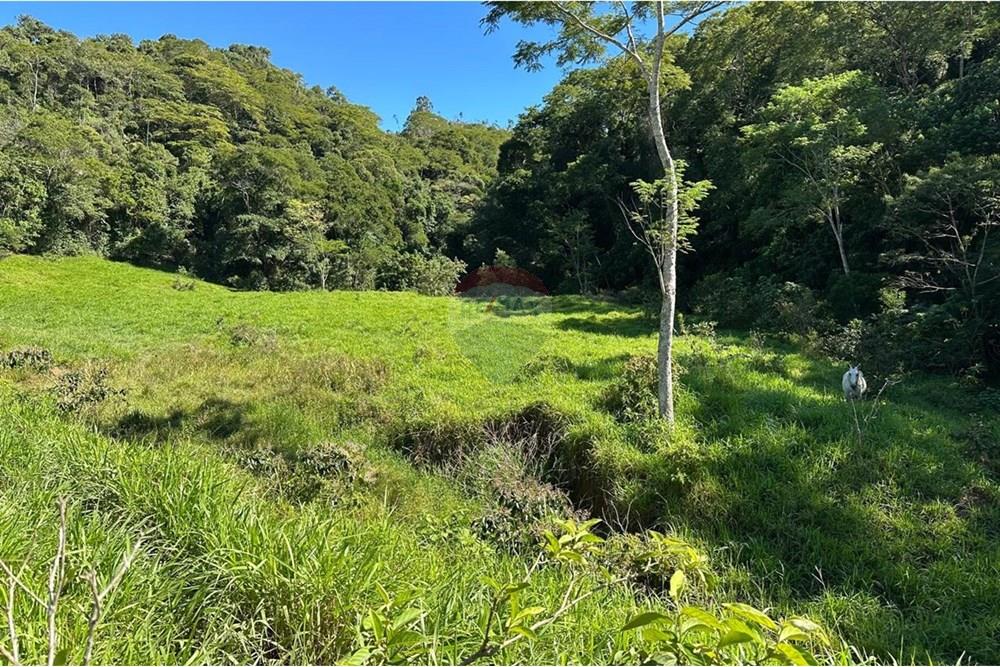 Chácara / Sítio / Fazenda - Venda - Rio Bonito , Rio de Janeiro - 10878067-b459-4163-a207-137f63b097b6.jpg - 680311080-2