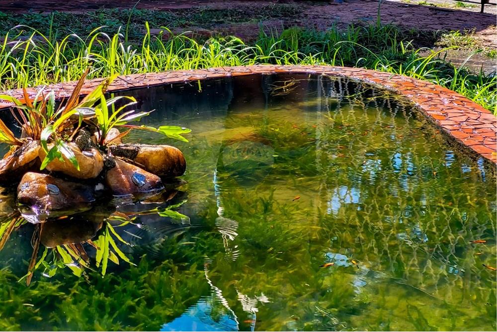 Casa - Venda - Rio de Janeiro , Rio de Janeiro - 03.jpg - Jardim Externo - 680331006-276