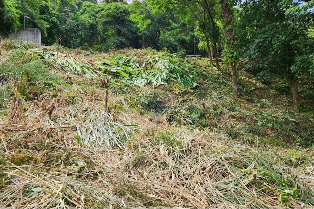 Terreno - Venda - Rio de Janeiro , Rio de Janeiro - 13.jpg - 680321010-129