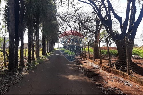 Slider Image Thumbnail