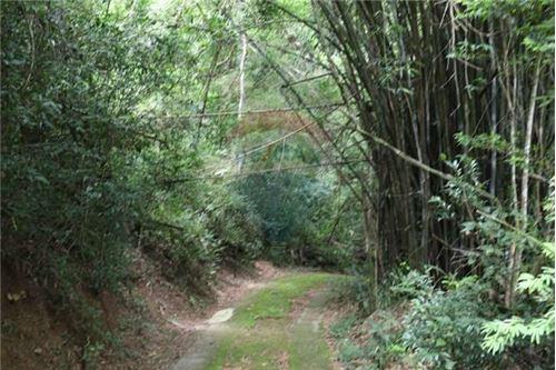 Chácara / Sítio / Fazenda - Venda - Jarinu , São Paulo - IMG_6604.JPG - 690661027-129