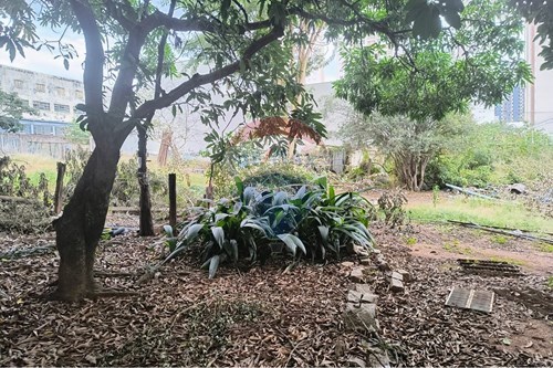 Slider Image Thumbnail