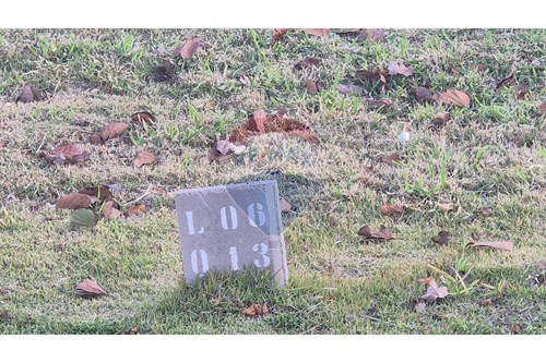 Venda-Wine Cellar-Condomínio Campo de Toscana , Vinhedo , São Paulo , 13281-006-690541036-119